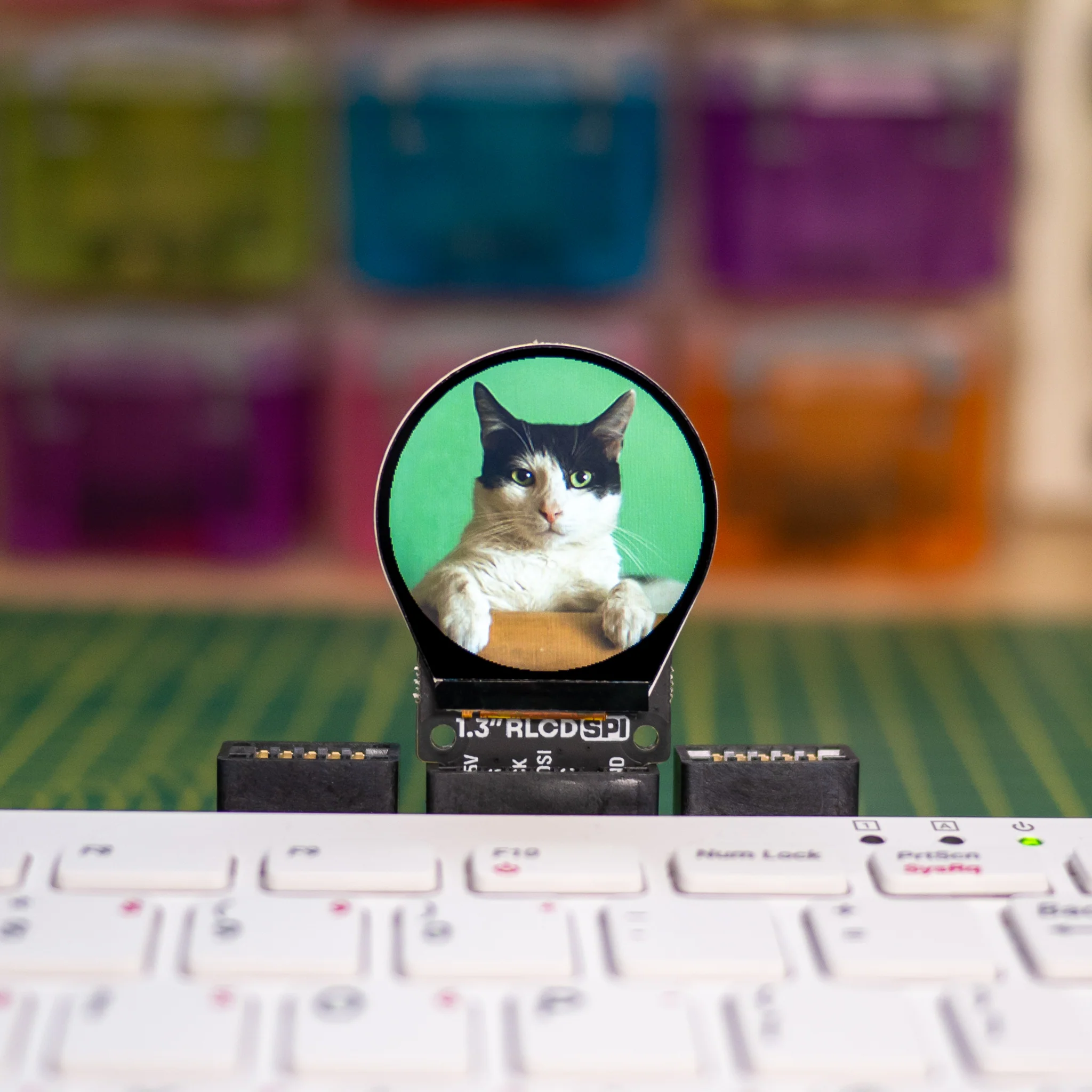 1.3" SPI Colour Round LCD (240x240) Breakout - Image 5