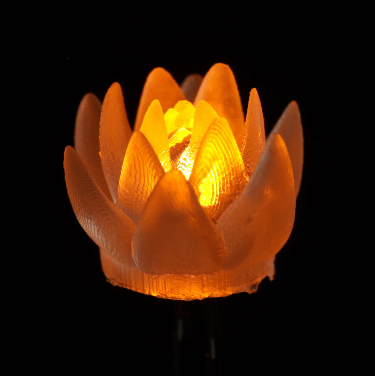 dLUX-dLITE LEDs - Image 14