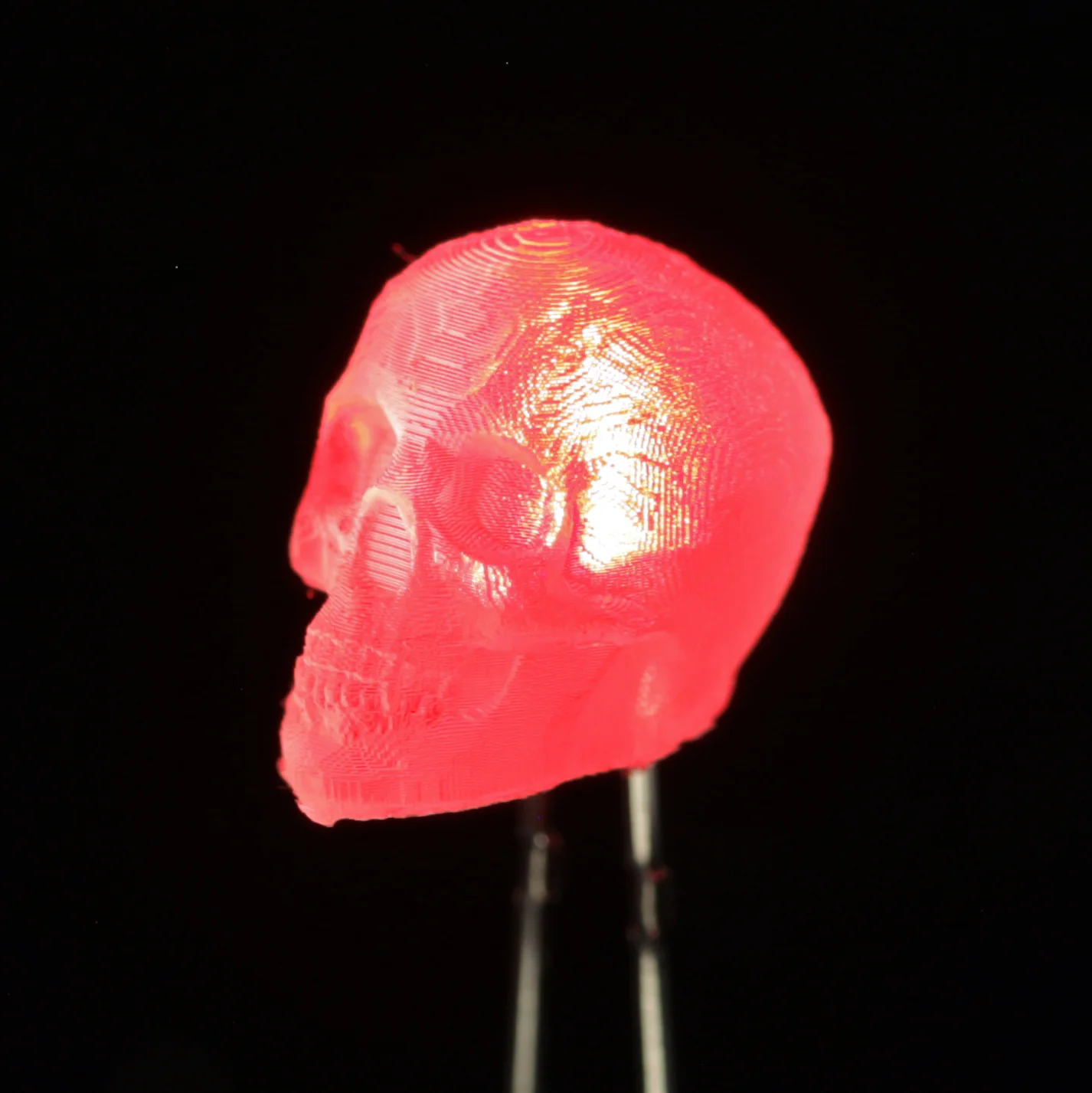 dLUX-dLITE LEDs - Image 4