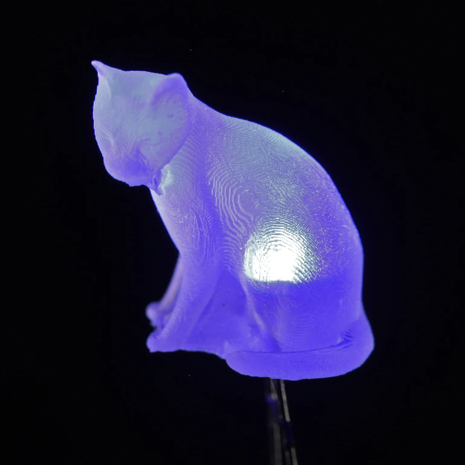 dLUX-dLITE LEDs - Image 7